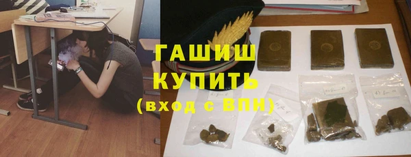 шишки Каменногорск
