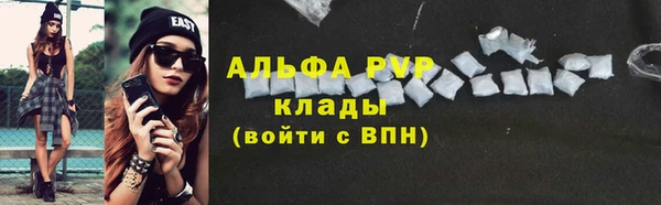 шишки Каменногорск