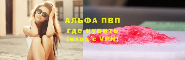 шишки Каменногорск
