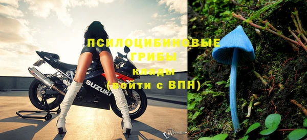 шишки Каменногорск