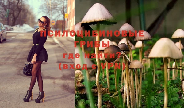 шишки Каменногорск
