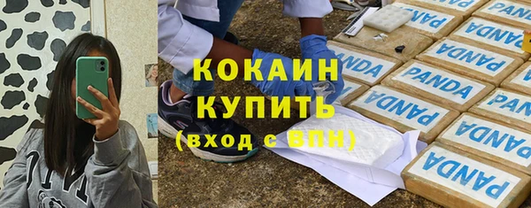 шишки Каменногорск