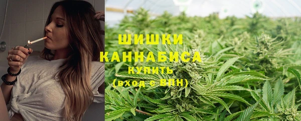 mdpv Каменск-Шахтинский
