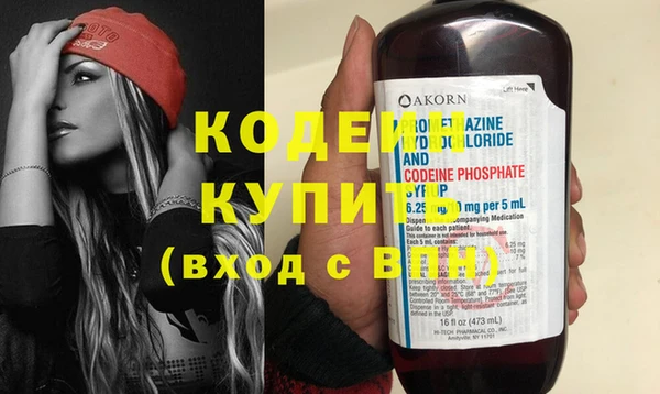 шишки Каменногорск